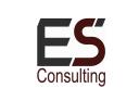 ES Consulting logo
